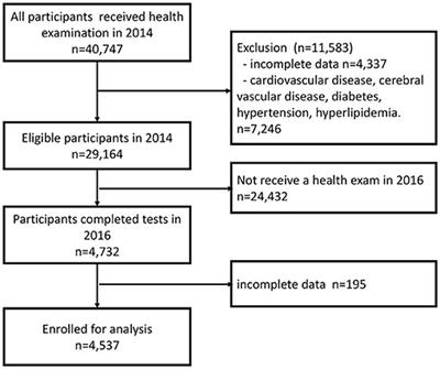 Subtypes of Premorbid Metabolic Syndrome and Associated Clinical Outcomes in Older Adults